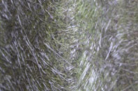 Farm Town fibreglass roof work